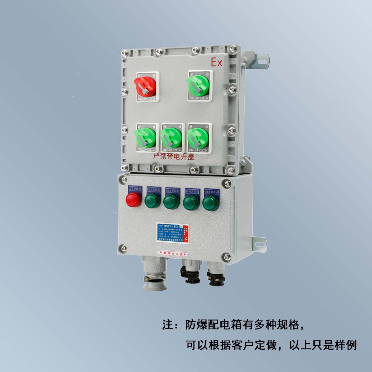 BXM(D)58 系列防爆照明(動(dòng)力)配電箱 (ⅡB、ⅡC、DIP)